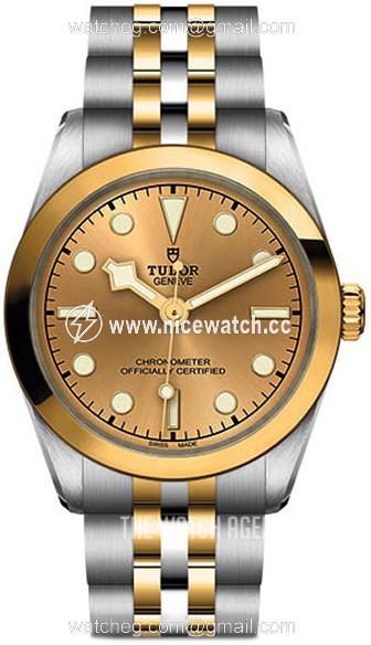 Tudor Black Bay Mechanical, hand-wound Ladies Dress / Sport M79603-0005