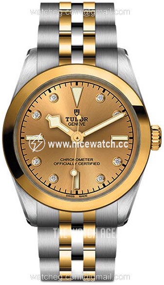 Tudor Black Bay Mechanical, hand-wound Ladies Dress / Sport M79603-0008