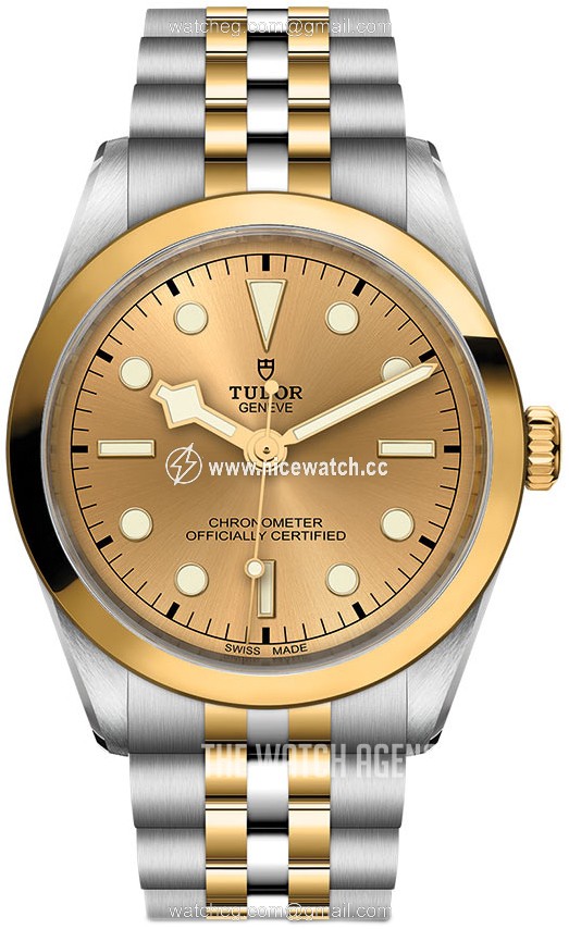 Tudor Black Bay Mechanical, hand-wound Ladies Dress / Sport M79643-0005