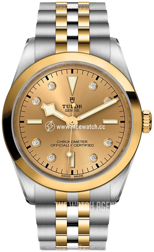 Tudor Black Bay Mechanical, hand-wound Ladies Dress / Sport M79643-0008