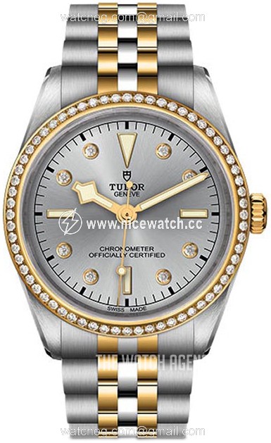 Tudor Black Bay Mechanical, hand-wound Ladies Dress / Sport M79653-0006