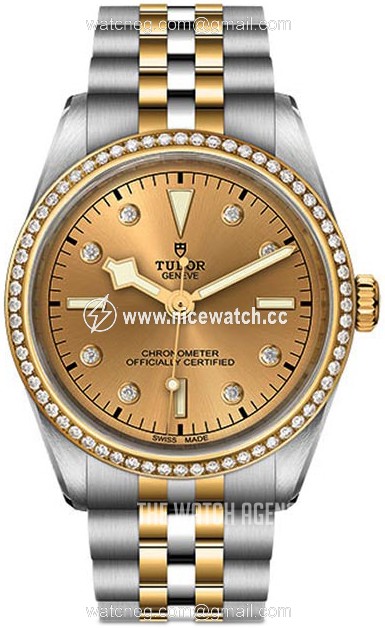 Tudor Black Bay Mechanical, hand-wound Ladies Dress / Sport M79653-0007