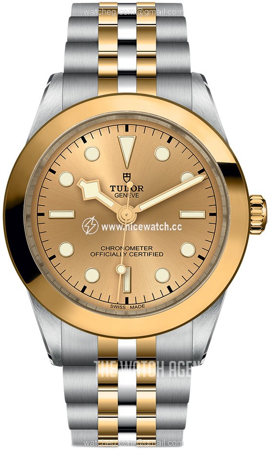 Tudor Black Bay Mechanical, hand-wound Unisex Dress / Sport M79663-0005