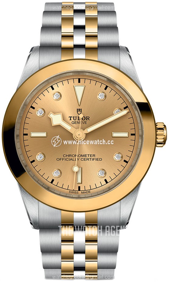 Tudor Black Bay Mechanical, hand-wound Unisex Dress / Sport M79663-0008