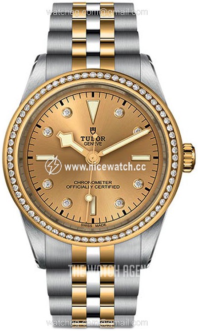 Tudor Black Bay Mechanical, hand-wound Unisex Dress / Sport M79673-0007